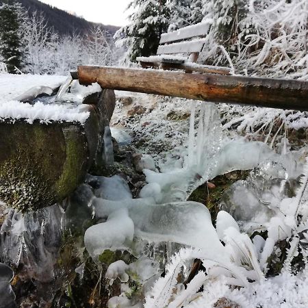 Ferienwohnung Schmaranzer Gosau Esterno foto
