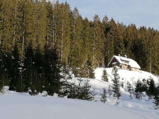 Ferienwohnung Schmaranzer Gosau Esterno foto