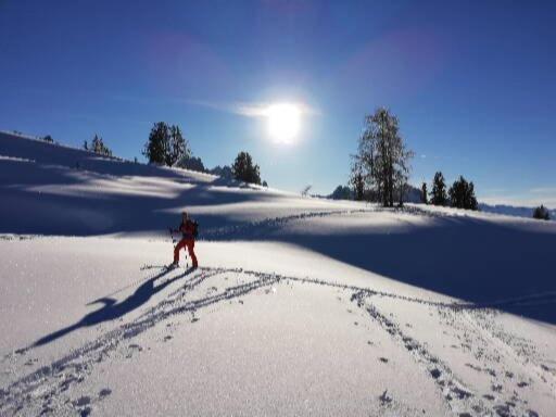 Ferienwohnung Schmaranzer Gosau Esterno foto