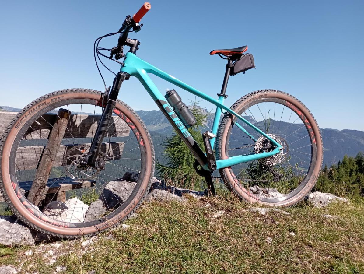 Ferienwohnung Schmaranzer Gosau Esterno foto