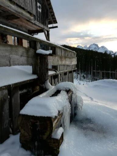 Ferienwohnung Schmaranzer Gosau Esterno foto
