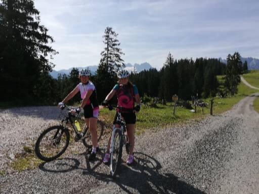 Ferienwohnung Schmaranzer Gosau Esterno foto