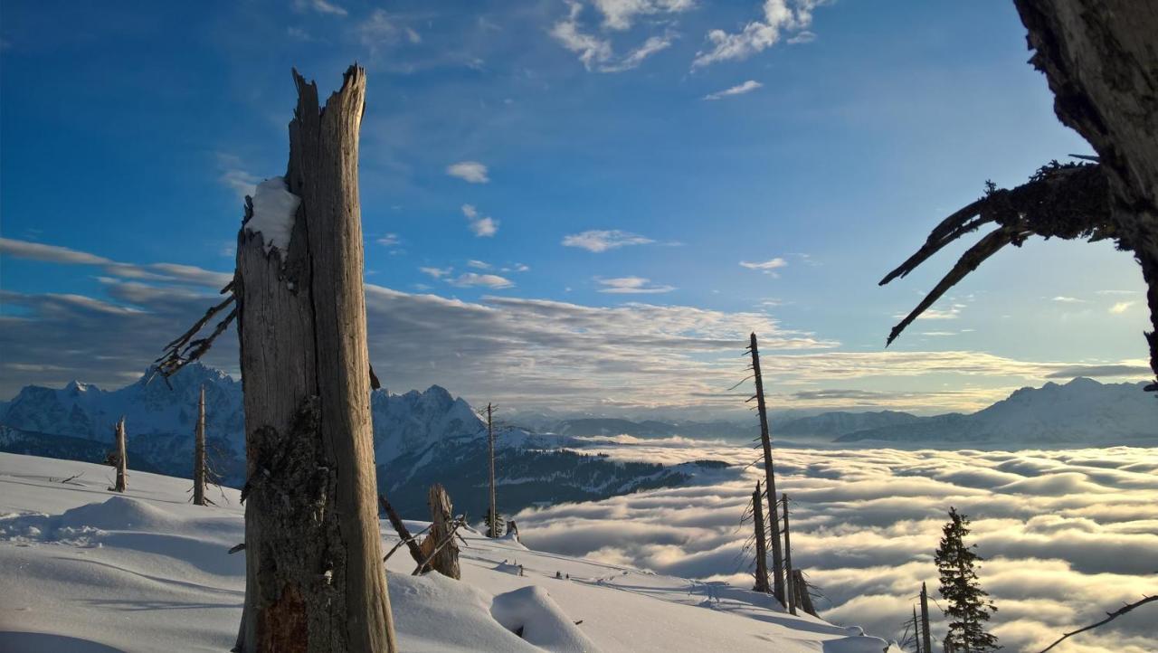 Ferienwohnung Schmaranzer Gosau Esterno foto